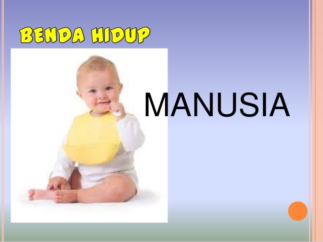Benda Hidup Dan Benda Tidak Hidup