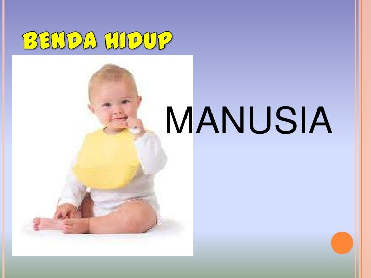 Benda Hidup Dan Bukan Hidup