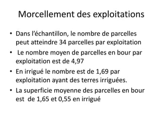 Morcellement des exploitations
• Dans l’échantillon, le nombre de parcelles
peut atteindre 34 parcelles par exploitation
• Le nombre moyen de parcelles en bour par
exploitation est de 4,97
• En irrigué le nombre est de 1,69 par
exploitation ayant des terres irriguées.
• La superficie moyenne des parcelles en bour
est de 1,65 et 0,55 en irrigué
 