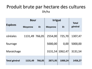 Produit brute par hectare des cultures
Dh/ha
Espèces
Bour Irrigué
Total
généralMoyenne Et Moyenne Et
céréales 1131,49 766,05 2554,00 725,70 1307,47
fourrage 5000,00 0,00 5000,00
Maraichage 3131,54 1062,47 3131,54
Total général 1131,49 766,05 2871,95 1000,24 1456,27
 