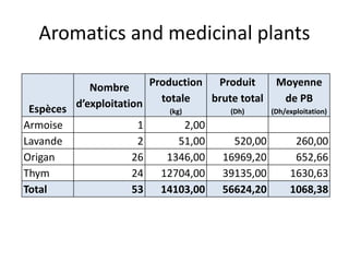 Aromatics and medicinal plants
Espèces
Nombre
d’exploitation
Production
totale
(kg)
Produit
brute total
(Dh)
Moyenne
de PB
(Dh/exploitation)
Armoise 1 2,00
Lavande 2 51,00 520,00 260,00
Origan 26 1346,00 16969,20 652,66
Thym 24 12704,00 39135,00 1630,63
Total 53 14103,00 56624,20 1068,38
 