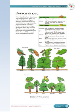 BENDA, SIFAT-SIFAT DAN KEGUNAANNYA (SD)




                         Gambar 2.17 Jenis-jenis kayu




BAB II BENDA, SIFAT-SIFAT DAN KEGUNAANNYA               BERMUTU   43
 