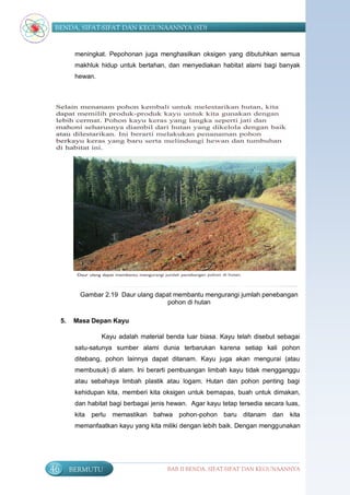 BENDA, SIFAT-SIFAT DAN KEGUNAANNYA (SD)


           meningkat. Pepohonan juga menghasilkan oksigen yang dibutuhkan semua
           makhluk hidup untuk bertahan, dan menyediakan habitat alami bagi banyak
           hewan.




             Gambar 2.19 Daur ulang dapat membantu mengurangi jumlah penebangan
                                        pohon di hutan

     5.   Masa Depan Kayu

                     Kayu adalah material benda luar biasa. Kayu telah disebut sebagai
           satu-satunya sumber alami dunia terbarukan karena setiap kali pohon
           ditebang, pohon lainnya dapat ditanam. Kayu juga akan mengurai (atau
           membusuk) di alam. Ini berarti pembuangan limbah kayu tidak mengganggu
           atau sebahaya limbah plastik atau logam. Hutan dan pohon penting bagi
           kehidupan kita, memberi kita oksigen untuk bernapas, buah untuk dimakan,
           dan habitat bagi berbagai jenis hewan. Agar kayu tetap tersedia secara luas,
           kita   perlu   memastikan bahwa pohon-pohon baru ditanam dan            kita
           memanfaatkan kayu yang kita miliki dengan lebih baik. Dengan menggunakan




46        BERMUTU                         BAB II BENDA, SIFAT-SIFAT DAN KEGUNAANNYA
 