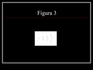 Figura 3 
