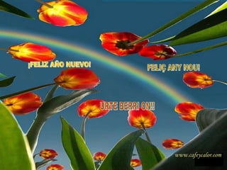 URTE BERRI ON!! FELIÇ ANY NOU! ¡FELIZ AÑO NUEVO! www.cafeycalor.com 