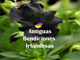 Antiguas Bendiciones  Irlandesas   