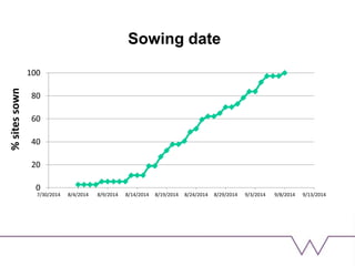 Sowing date
%sitessown
0
20
40
60
80
100
7/30/2014 8/4/2014 8/9/2014 8/14/2014 8/19/2014 8/24/2014 8/29/2014 9/3/2014 9/8/2014 9/13/2014
 