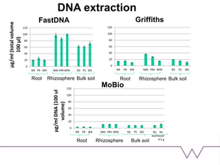 Root
0
20
40
60
80
100
120
NR PR WR NRh PRh WRh NS PS WS No
wash
No
wash
0.5 g
µg/mlDNA(100ul
volume)
MoBio
0
20
40
60
80
100
120
NR PR WR NRh PRhWRh NS PS WS
µg/ml(totalvolume
100µl) FastDNA
Rhizosphere Bulk soil
0
20
40
60
80
100
120
NR PR WR NRh PRh WRh NS PS WS
Griffiths
Root Rhizosphere Bulk soil
Root Rhizosphere Bulk soil
DNA extraction
 