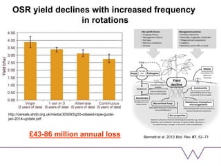 OSR yield declines with increased frequency
in rotations
£43-86 million annual loss
http://cereals.ahdb.org.uk/media/305093/g55-oilseed-rape-guide-
jan-2014-update.pdf
Bennett et al. 2012 Biol. Rev. 87, 52–71
 