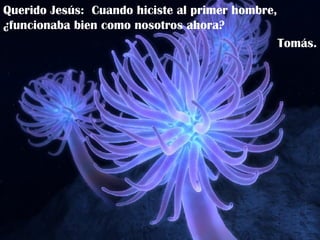 Querido Jesús:  Cuando hiciste al primer hombre, ¿funcionaba bien como nosotros ahora? Tomás. 