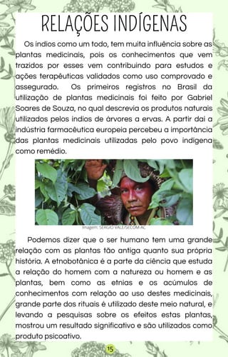 RELAÇÕES INDÍGENAS
Os índios como um todo, tem muita influência sobre as
plantas medicinais, pois os conhecimentos que vem
trazidos por esses vem contribuindo para estudos e
ações terapêuticas validados como uso comprovado e
assegurado. Os primeiros registros no Brasil da
utilização de plantas medicinais foi feito por Gabriel
Soares de Souza, no qual descrevia os produtos naturais
utilizados pelos índios de árvores a ervas. A partir daí a
indústria farmacêutica europeia percebeu a importância
das plantas medicinais utilizadas pelo povo indígena
como remédio.
Imagem: SÉRGIO VALE/SECOM-AC
Podemos dizer que o ser humano tem uma grande
relação com as plantas tão antiga quanto sua própria
história. A etnobotânica é a parte da ciência que estuda
a relação do homem com a natureza ou homem e as
plantas, bem como as etnias e os acúmulos de
conhecimentos com relação ao uso destes medicinais,
grande parte dos rituais é utilizado deste meio natural, e
levando a pesquisas sobre os efeitos estas plantas,
mostrou um resultado significativo e são utilizados como
produto psicoativo.
15
 
