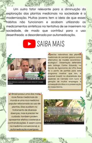 SAIBA MAIS
Um outro fator relevante para a diminuição da
exploração das plantas medicinais na sociedade é a
modernização. Muitos jovens tem a ideia de que esses
hábitos não funcionam e acabam utilizando os
medicamentos sintéticos na tentativa de se inserirem na
sociedade, de modo que contribui para o uso
desenfreado e desordenada por automedicação.
Aspectos valorativos das plantas
medicinais do cerrado goiano como
alternativa de modelo econômico-
ecológico”. Dissertação defendida
pelo biólogo Carlos Eduardo, na
Escola de Agronomia da UFG. Esse
foi o ponto de partida para este
programa mostrar que sim, é
possível investir na diversidade das
espécies do Cerrado com lucro e
geração de muitos empregos. A
consequência disso é a preservação
do nosso bioma.
O Brasil possui uma das mais
ricas floras medicinais do
mundo e uma rica medicina
popular relacionada ao uso de
plantas. Elas auxiliam no
tratamento de diversas
doenças, mas é preciso ter
cuidado: também podem
apresentar efeitos colaterais e
contraindicações. E assim como
na medicina convencional, a
automedicação é perigosa.
21
 