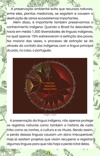 A preservação ambiental evita que recursos naturais,
entre eles, plantas medicinais, se esgotem e causem a
destruição de vários ecossistemas importantes.
Além disso, é importante também preservarmos o
conhecimento indígena. Quando o Brasil foi descoberto,
havia em média 1.300 diversidades de línguas indígenas,
no qual apenas 15% sobreviveram à extinção dos povos.
Na maioria das vezes, o processo de extinção se dá
através do contato dos indígenas com a língua principal
do país, no caso, o português.
A preservação da língua indígena, não apenas protege
os registros naturais como também a história de cada
tribo como os contos, a cultura e os rituais. Sendo assim,
a perda dessas línguas causam um dano irrecuperável.
Hoje já existem projetos que visam recuperar e registrar
algumas línguas para que não haja a perda total delas.
Imagem: Labvis
23
 