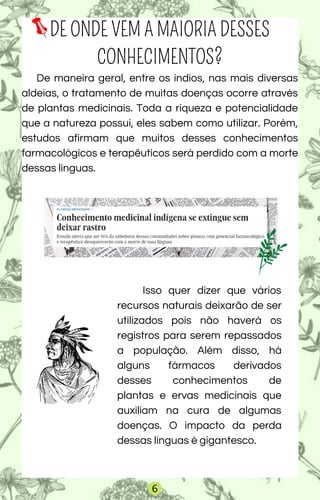 DE ONDE VEM A MAIORIA DESSES
CONHECIMENTOS?
De maneira geral, entre os índios, nas mais diversas
aldeias, o tratamento de muitas doenças ocorre através
de plantas medicinais. Toda a riqueza e potencialidade
que a natureza possui, eles sabem como utilizar. Porém,
estudos afirmam que muitos desses conhecimentos
farmacológicos e terapêuticos será perdido com a morte
dessas línguas.
Isso quer dizer que vários
recursos naturais deixarão de ser
utilizados pois não haverá os
registros para serem repassados
a população. Além disso, há
alguns fármacos derivados
desses conhecimentos de
plantas e ervas medicinais que
auxiliam na cura de algumas
doenças. O impacto da perda
dessas línguas é gigantesco.
6
 