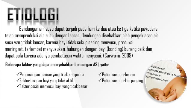ASUHAN KEBIDANAN PATOLOGI (Bendungan ASI)