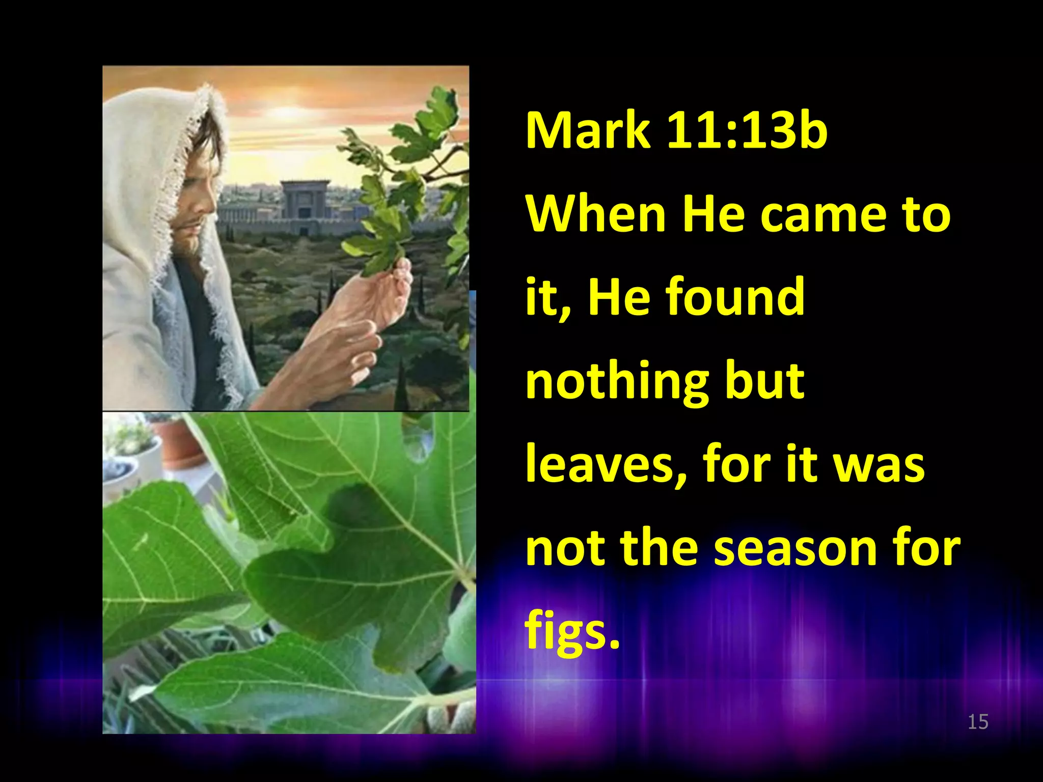 Mark 11:13b
When He came to
it, He found
nothing but
leaves, for it was
not the season for
figs.
15

 