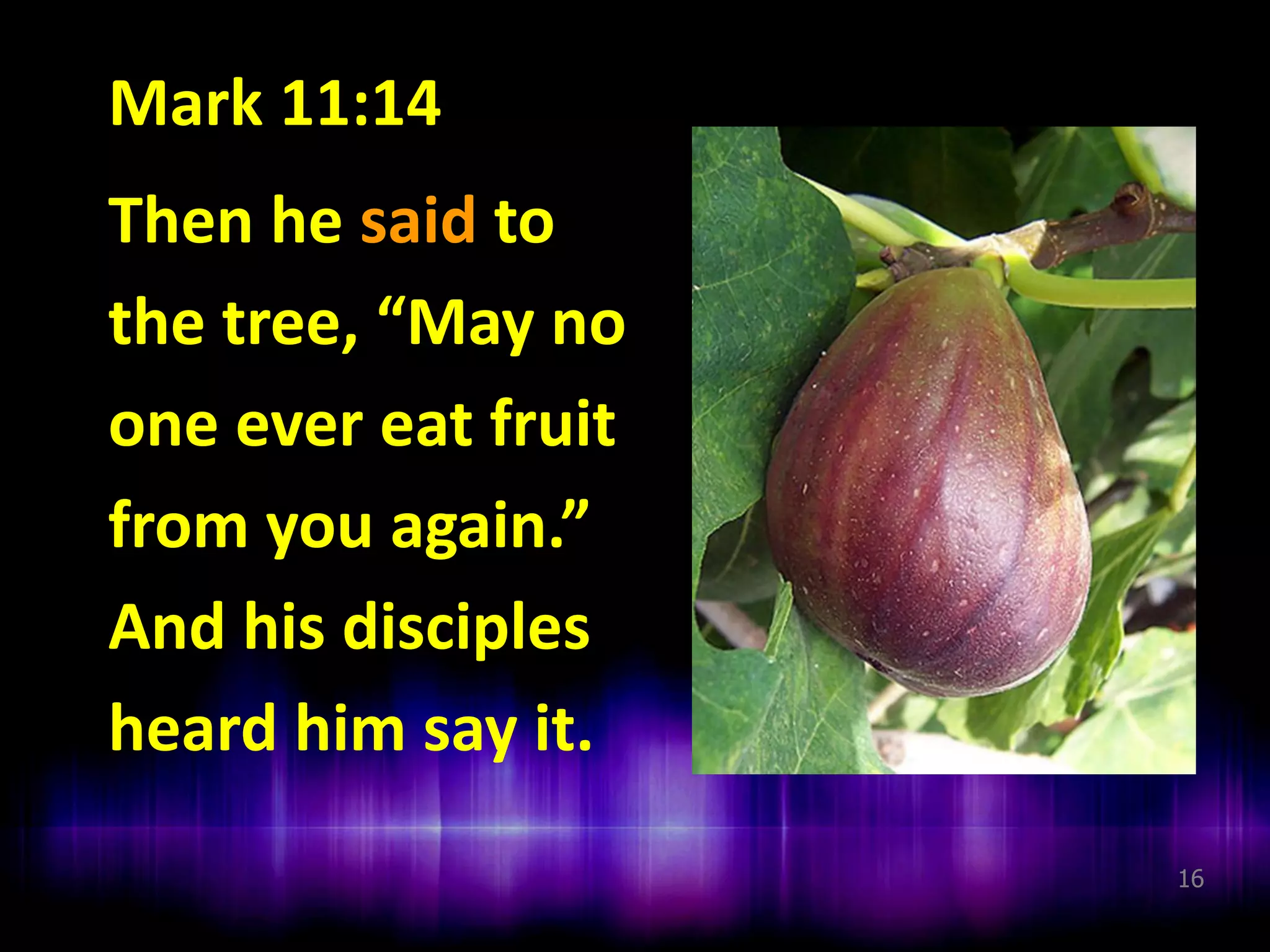 Mark 11:14
Then he said to
the tree, “May no
one ever eat fruit
from you again.”
And his disciples
heard him say it.
16

 