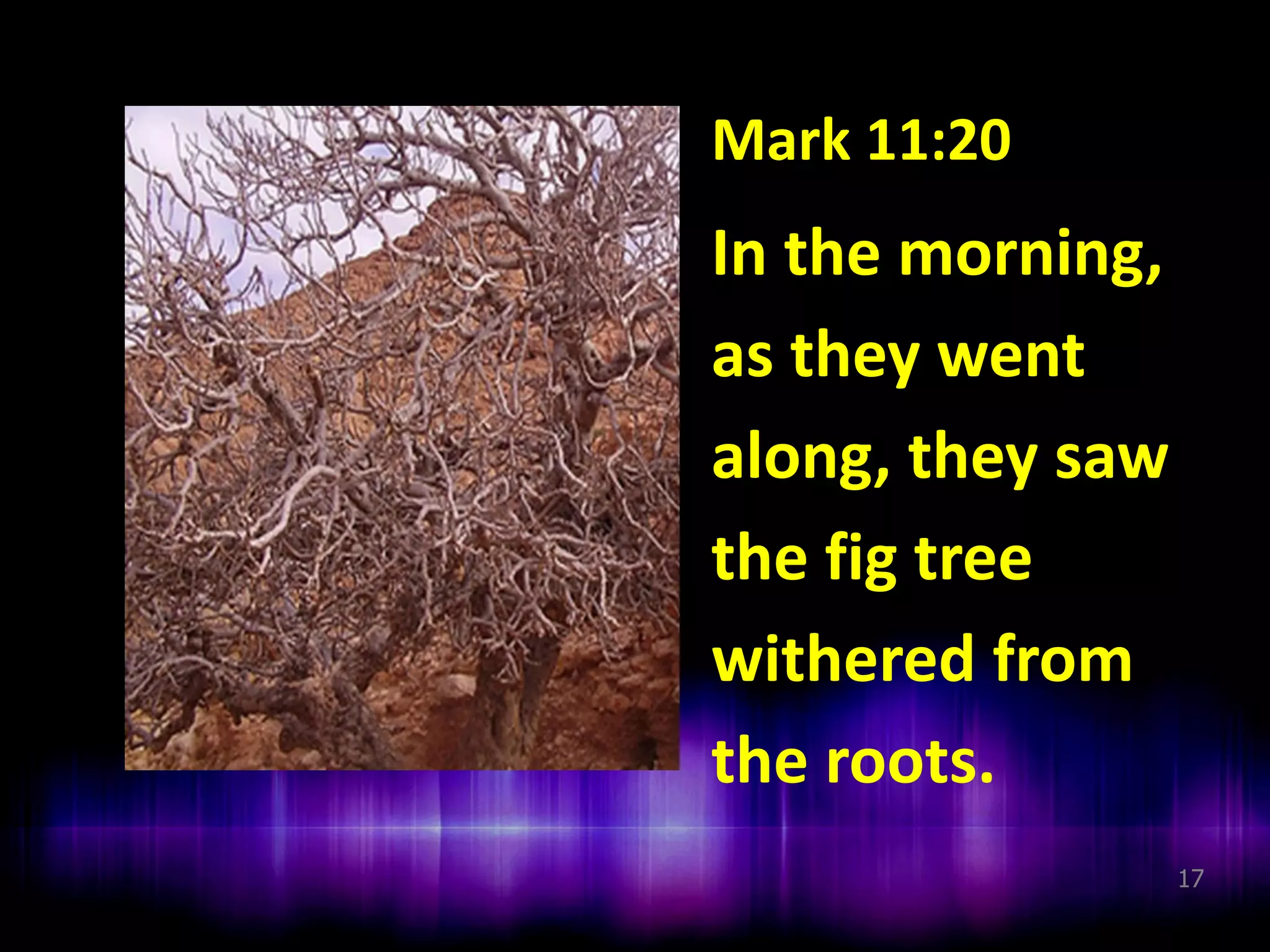 Mark 11:20

In the morning,
as they went
along, they saw
the fig tree
withered from
the roots.
17

 