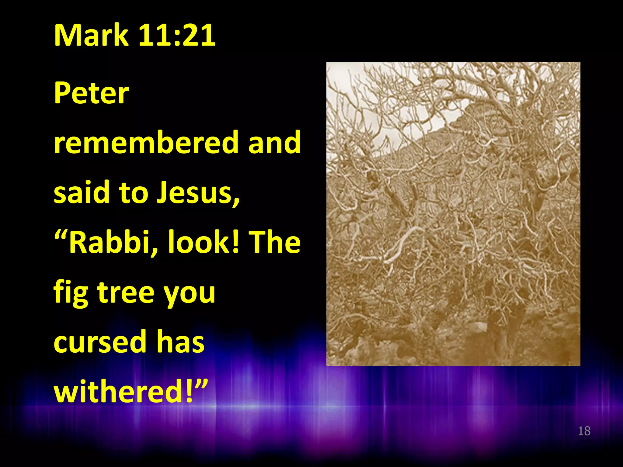 Mark 11:21
Peter
remembered and
said to Jesus,
“Rabbi, look! The
fig tree you
cursed has
withered!”
18

 
