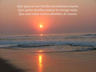 Que para no ser heridos levantamos muros. Que quien siembra muros no recoge nada. Que casi todos somos albañiles de muros. 