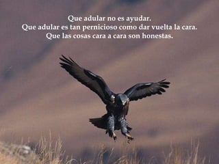 Que adular no es ayudar. Que adular es tan pernicioso como dar vuelta la cara. Que las cosas cara a cara son honestas. 