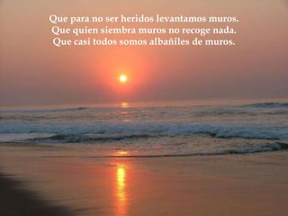Que para no ser heridos levantamos muros. Que quien siembra muros no recoge nada. Que casi todos somos albañiles de muros. 