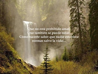 Que no está prohibido amar. Que también se puede odiar. Cómo hacerte saber que nadie establece normas salvo la vida!... 