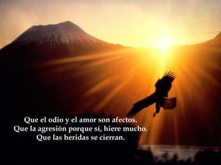 Que el odio y el amor son afectos. Que la agresión porque sí, hiere mucho. Que las heridas se cierran. 