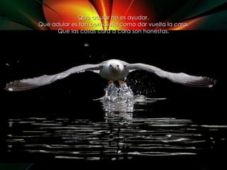 Que adular no es ayudar. Que adular es tan pernicioso como dar vuelta la cara. Que las cosas cara a cara son honestas. 