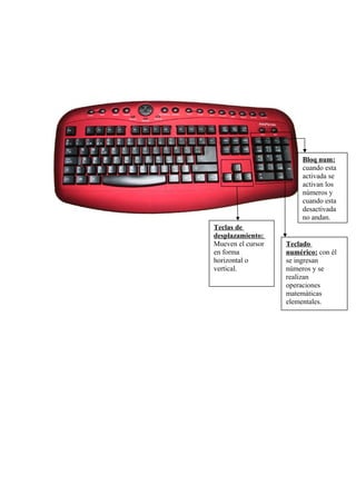 Teclas de
desplazamiento:
Mueven el cursor
en forma
horizontal o
vertical.
Teclado
numérico: con él
se ingresan
números y se
realizan
operaciones
matemáticas
elementales.
Bloq num:
cuando esta
activada se
activan los
números y
cuando esta
desactivada
no andan.
 