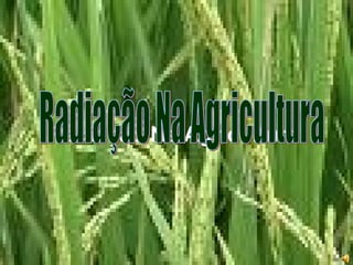 Radiação Na Agricultura Radiação Na Agricultura 