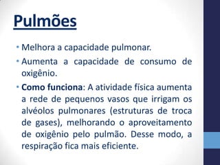 Pulmões
• Melhora a capacidade pulmonar.
• Aumenta a capacidade de consumo de
  oxigênio.
• Como funciona: A atividade física aumenta
  a rede de pequenos vasos que irrigam os
  alvéolos pulmonares (estruturas de troca
  de gases), melhorando o aproveitamento
  de oxigênio pelo pulmão. Desse modo, a
  respiração fica mais eficiente.
 
