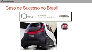 efagundes.com
Caso de Sucesso no Brasil
 
