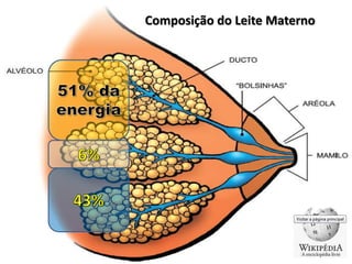 Composição do Leite Materno
 