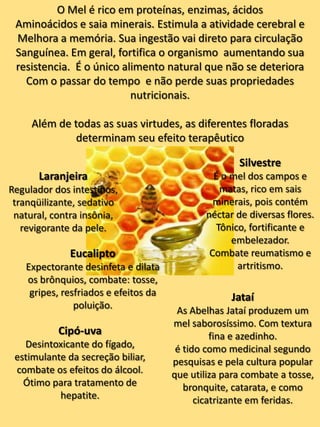 O Mel é rico em proteínas, enzimas, ácidos Aminoácidos e saia minerais. Estimula a atividade cerebral eMelhora a memória. Sua ingestão vai direto para circulaçãoSanguínea. Em geral, fortifica o organismo  aumentando sua resistencia.  É o único alimento natural que não se deteriora Com o passar do tempo  e não perde suas propriedades nutricionais.Além de todas as suas virtudes, as diferentes floradas determinam seu efeito terapêuticoSilvestreÉ o mel dos campos e matas, rico em sais minerais, pois contém néctar de diversas flores. Tônico, fortificante e embelezador. Combate reumatismo e artritismo.LaranjeiraRegulador dos intestinos, tranqüilizante, sedativo natural, contra insônia, revigorante da pele.EucaliptoExpectorante desinfeta e dilata os brônquios, combate: tosse, gripes, resfriados e efeitos da poluição.JataíAs Abelhas Jataí produzem um mel saborosíssimo. Com textura fina e azedinho. é tido como medicinal segundo pesquisas e pela cultura popular que utiliza para combate a tosse, bronquite, catarata, e como cicatrizante em feridas.Cipó-uvaDesintoxicante do fígado, estimulante da secreção biliar, combate os efeitos do álcool.Ótimo para tratamento de hepatite.
