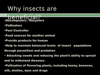 Why Insect beneficial insects in agriculture entomology | PPTX