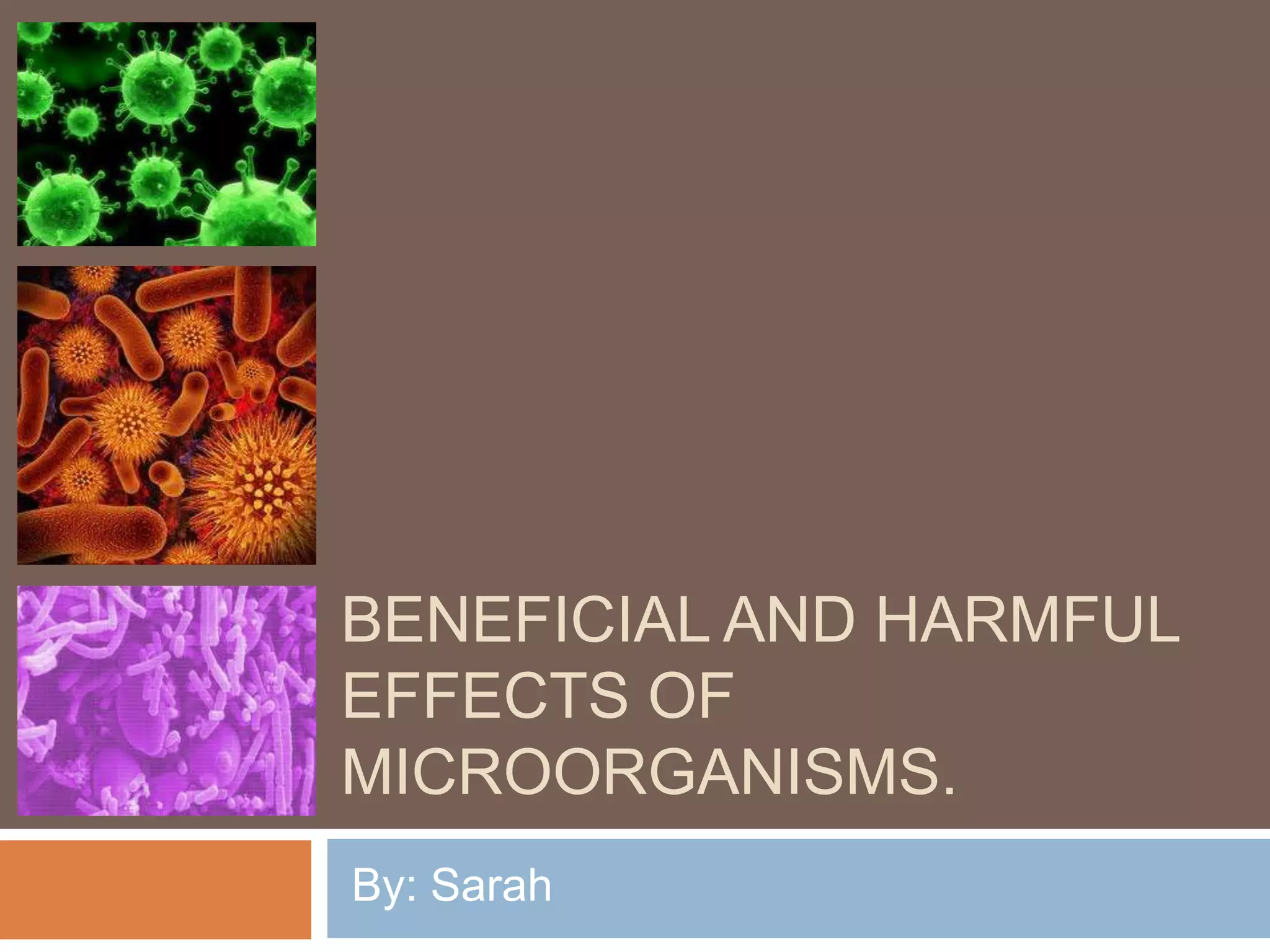 BENEFICIAL AND HARMFUL
EFFECTS OF
MICROORGANISMS.
By: Sarah