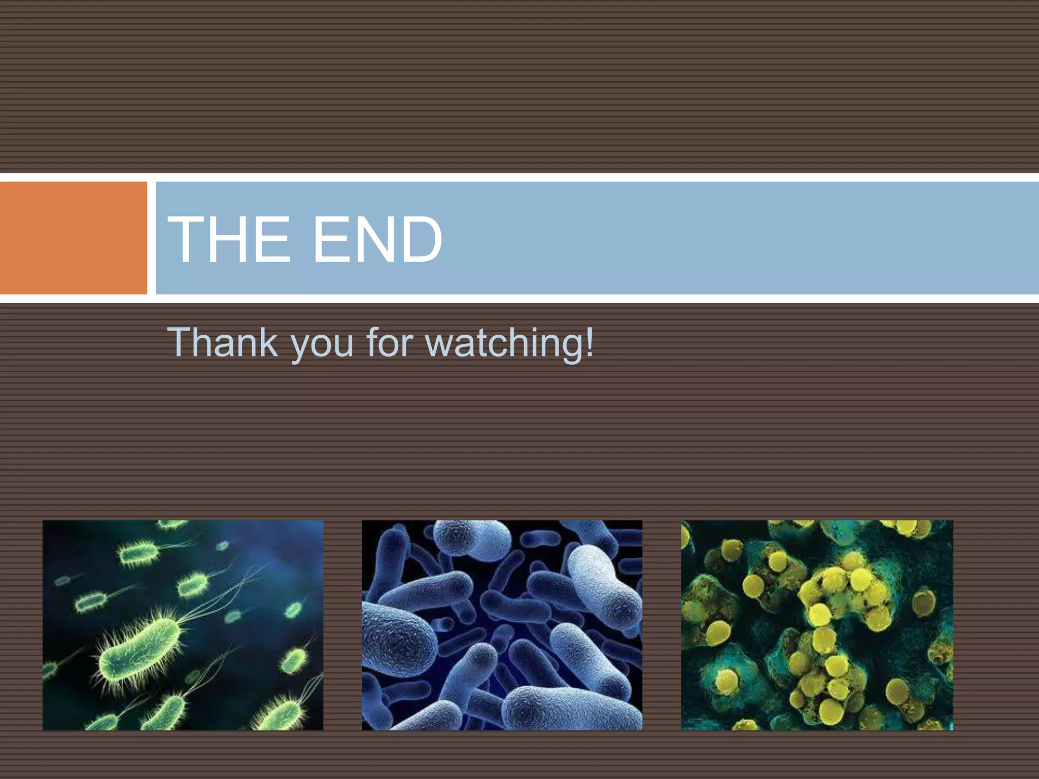 THE END
Thank you for watching!