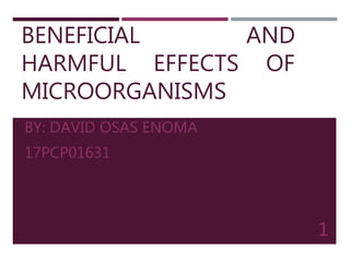 BENEFICIAL AND
HARMFUL EFFECTS OF
MICROORGANISMS
BY: DAVID OSAS ENOMA
17PCP01631
1
 