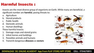 Human Problem With Insect Beneficial and harmful insects including insect vectors of human ...