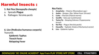 Health Risks From Insects Beneficial and harmful insects including insect vectors of human ...