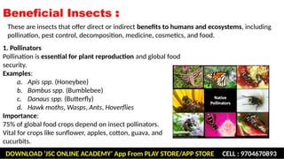 Beneficial and harmful insects including insect vectors of human ...