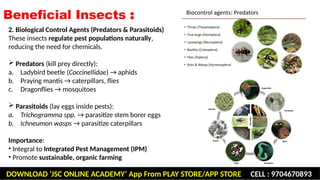 Beneficial and harmful insects including insect vectors of human ...