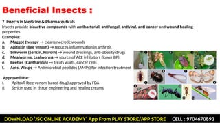 Beneficial and harmful insects including insect vectors of human ...