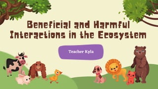 Teacher Kyla
 