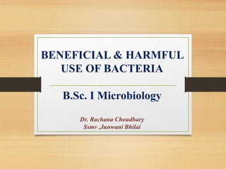 BENEFICIAL & HARMFUL
USE OF BACTERIA
B.Sc. I Microbiology
Dr. Rachana Choudhary
Ssmv ,Junwani Bhilai
 