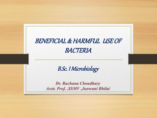BENEFICIAL& HARMFUL USEOF
BACTERIA
B.Sc.I Microbiology
Dr. Rachana Choudhary
Asstt. Prof. .SSMV ,Junwani Bhilai
 