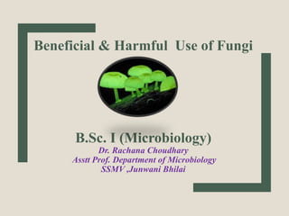 Beneficial & Harmful Use of Fungi
B.Sc. I (Microbiology)
Dr. Rachana Choudhary
Asstt Prof. Department of Microbiology
SSMV ,Junwani Bhilai
 