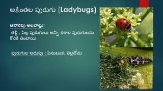 Beneficial insects (telugu) | PDF