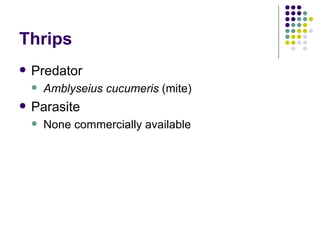 Thrips <ul><li>Predator </li></ul><ul><ul><li>Amblyseius cucumeris  (mite) </li></ul></ul><ul><li>Parasite </li></ul><ul><...